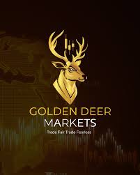 Golden Deer FX Forex Review