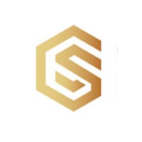 GS Securities Forex Review